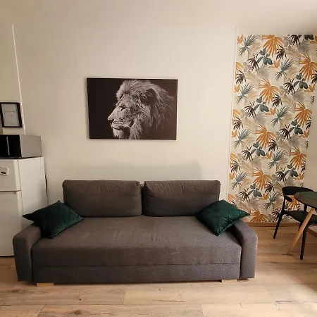 Emeraude - Hypercentre Historique Au Pied Du - Netflix דירה